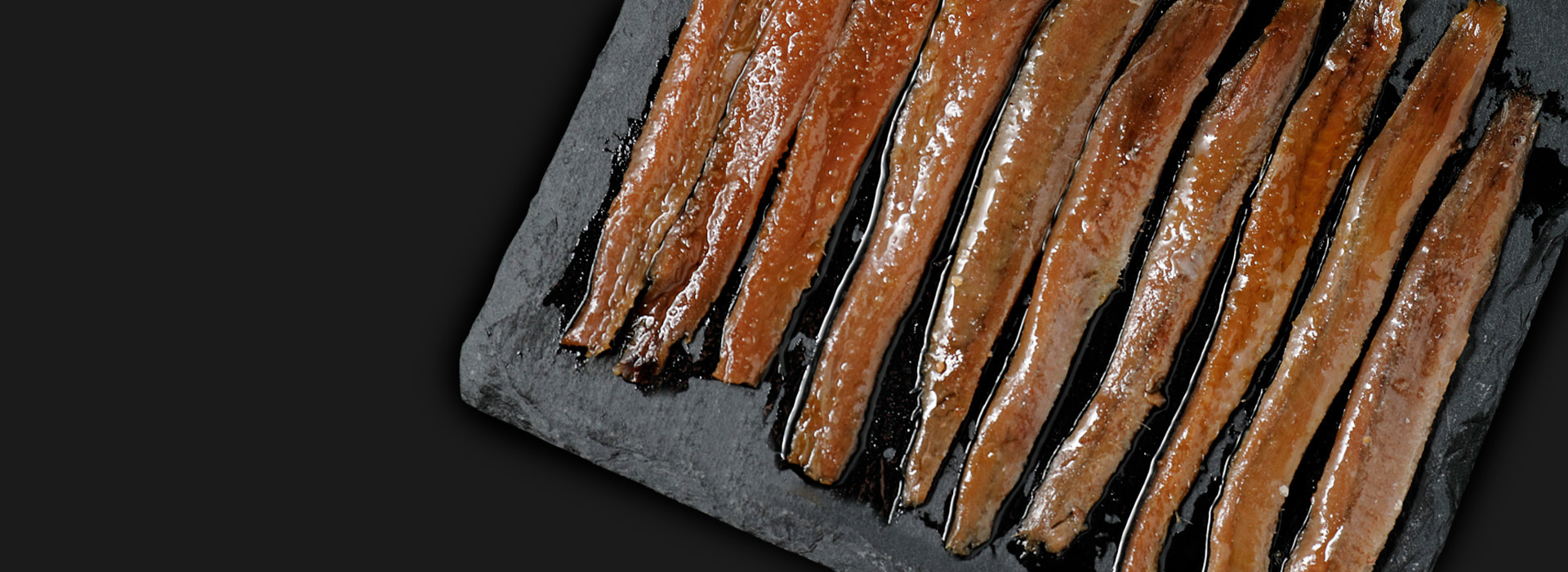 Cantabrian Anchovy