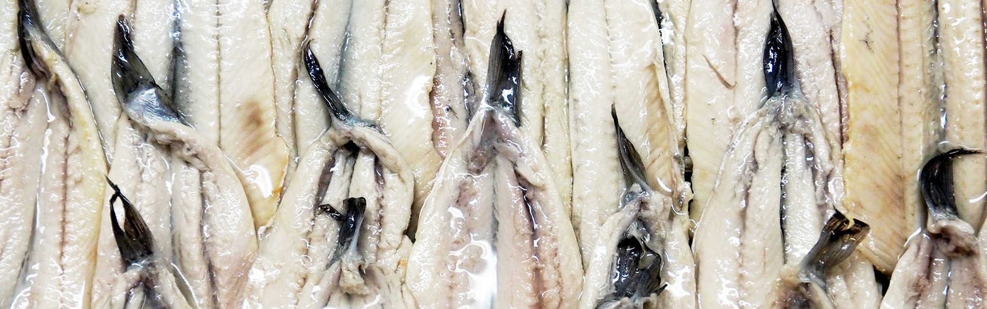 Fresh anchovies cured traditionally in vinegar