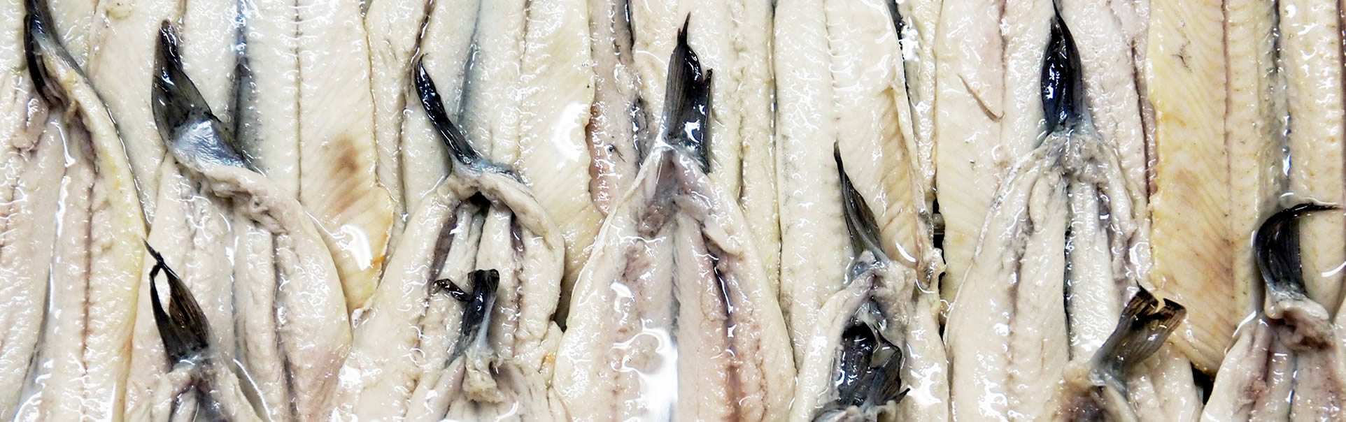 Boquerón fresco artesanal curado en vinagre