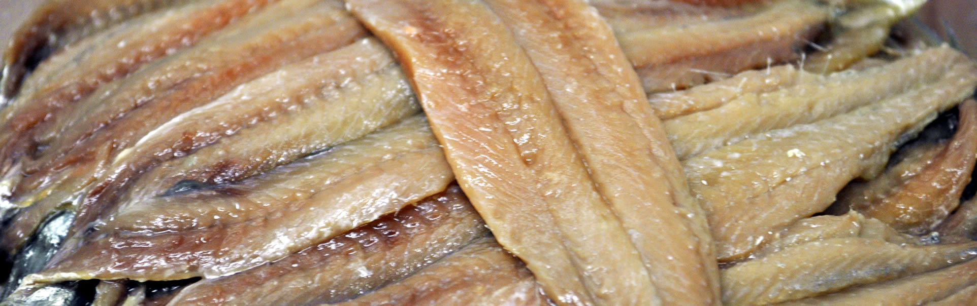 Anchoa del Cantábrico