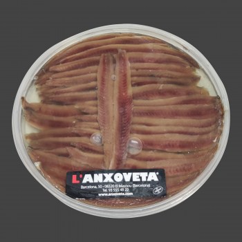 AnchoaATL_30