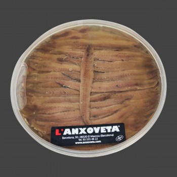 AnchoaATL_80