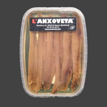 AnchoaCANT_6