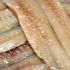 Anchoa del Cantábrico